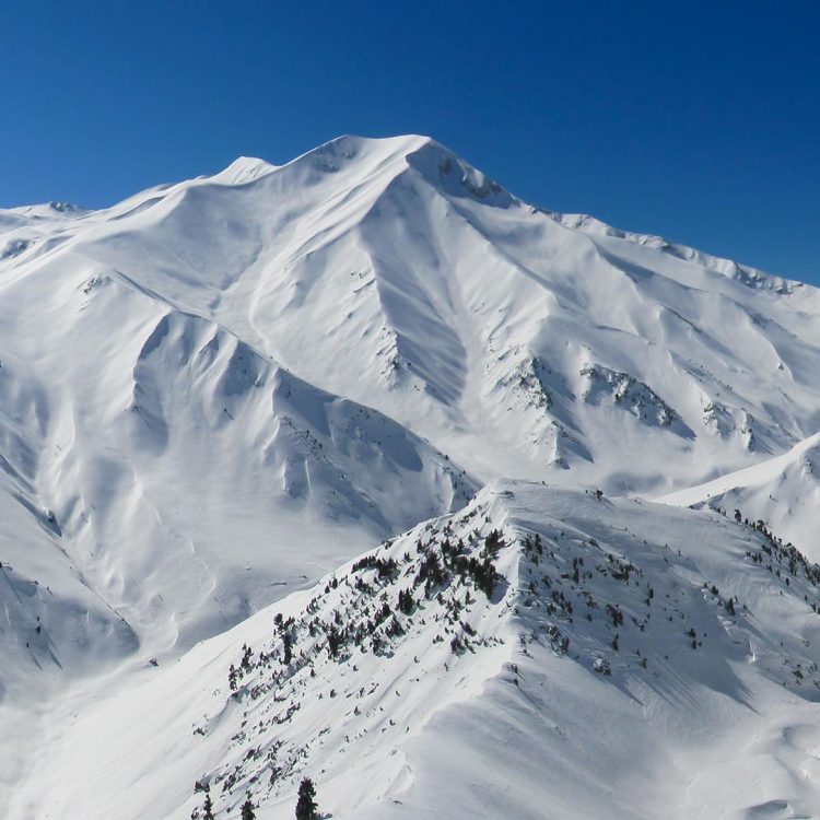ActivAlpine_Heliski_Gulmarg_India